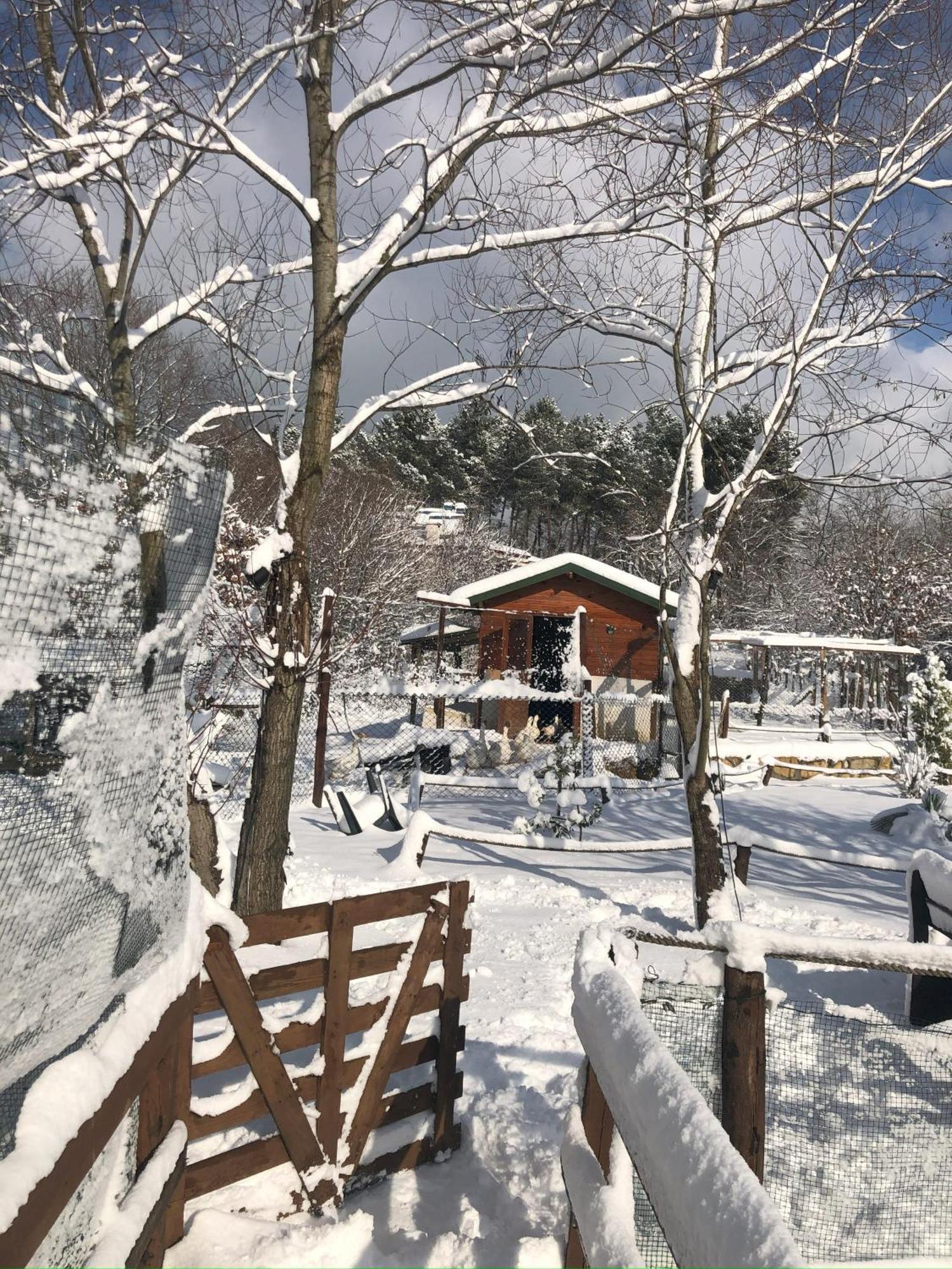 Kerpe Diem Otel 外观 照片